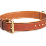Dog Collars